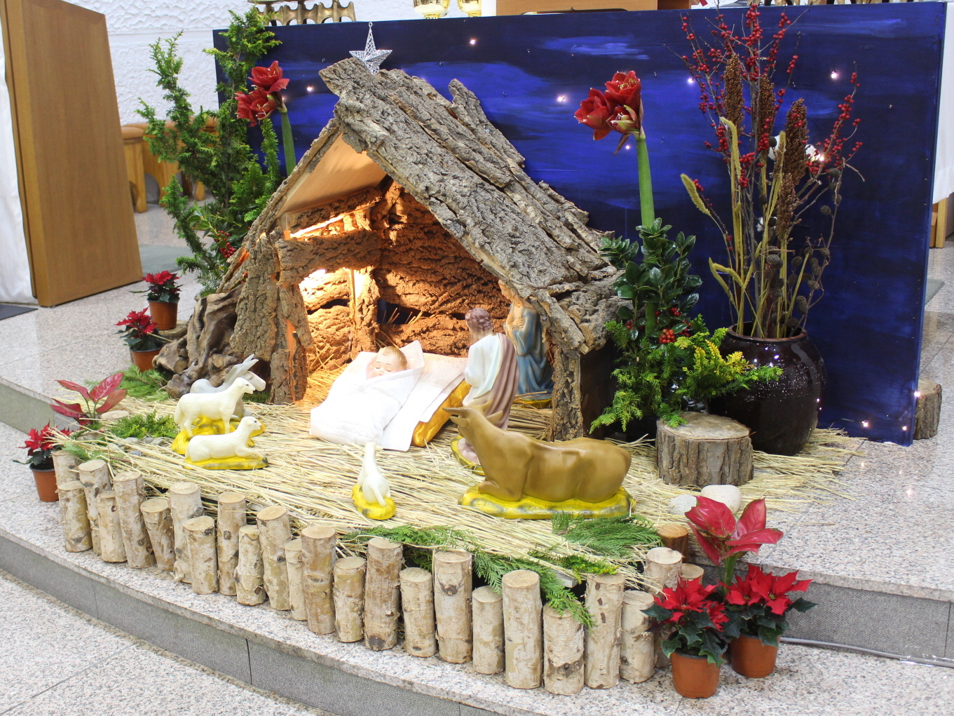 251224 성탄대축일밤미사_구유경배 (1).JPG